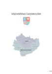 Raport swietokrzyskie_2013_pol.pdf