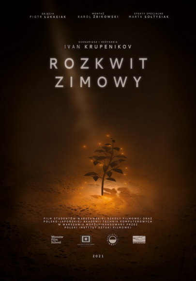Rozkwit Zimowy – projekt studentów Warszawskiej Szkoły Filmowej