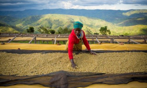 #Stronglikecoffee, czyli Starbucks opowiada o sile kobiet